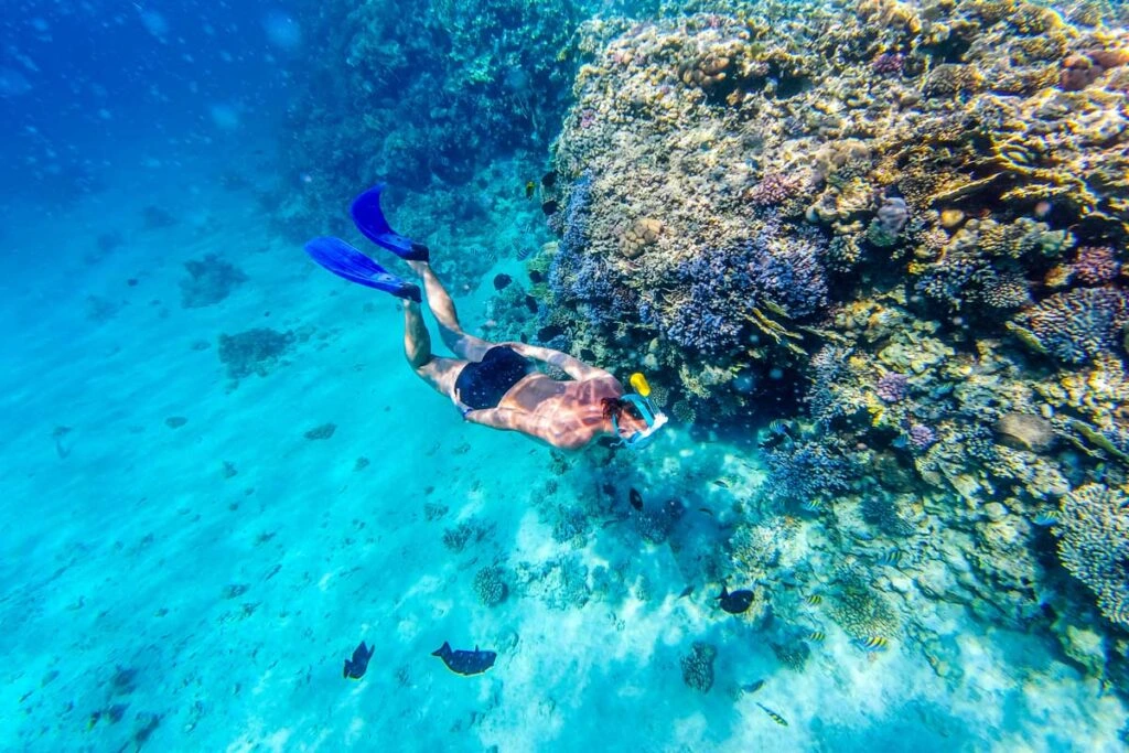 Snorkeling in Bali A man snorkeling enjoy the marine life