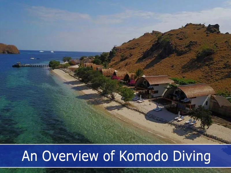 Komodo Resort