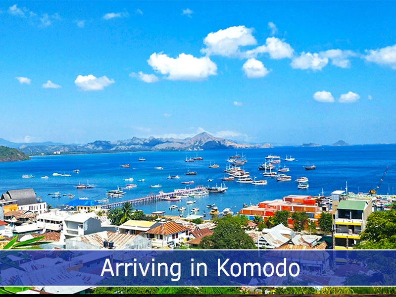 Arriving In Komodo