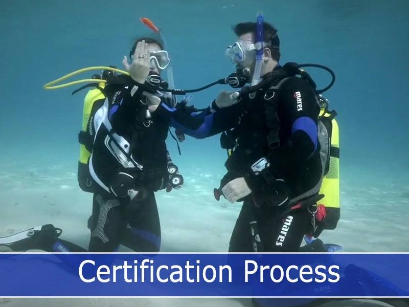 Difference between Certification Agencies