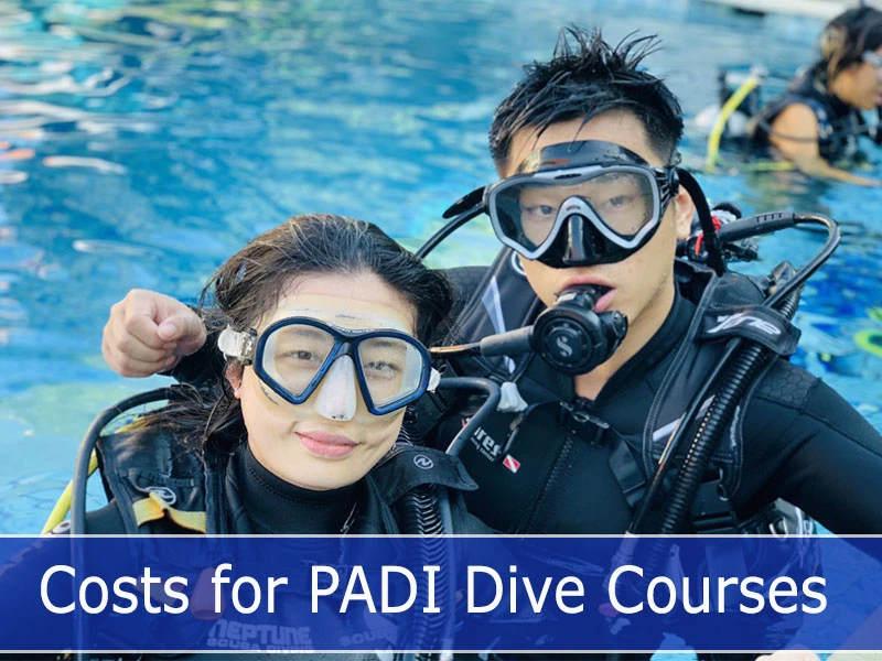 Self portrait PADI Dive Courses