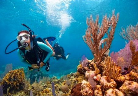 PADI Open Water Diver