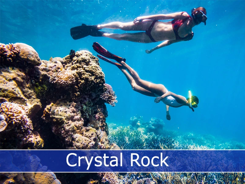 Snorkeling to explorer the Crystal Rock - Castle Rock marine life