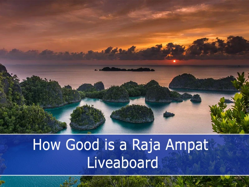 How good is a Raja Ampat Liveaboard?