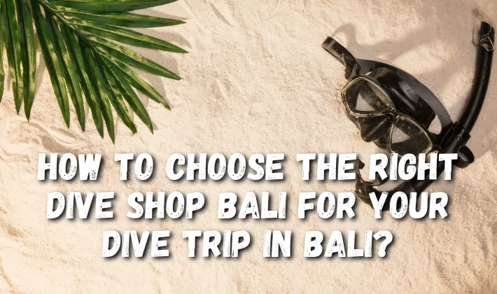 Choose The Right Dive Shop in Bali