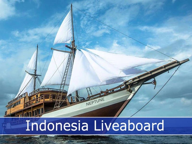 Indonesian Liveaboard mooring in Komodo