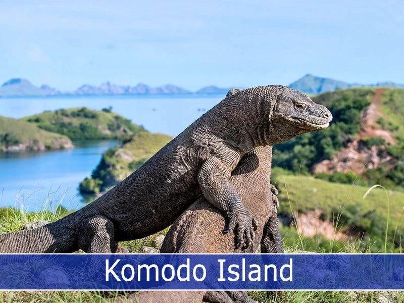 Komodo Island
