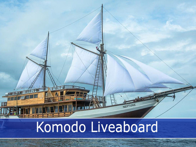 Discover With Komodo Liveaboard