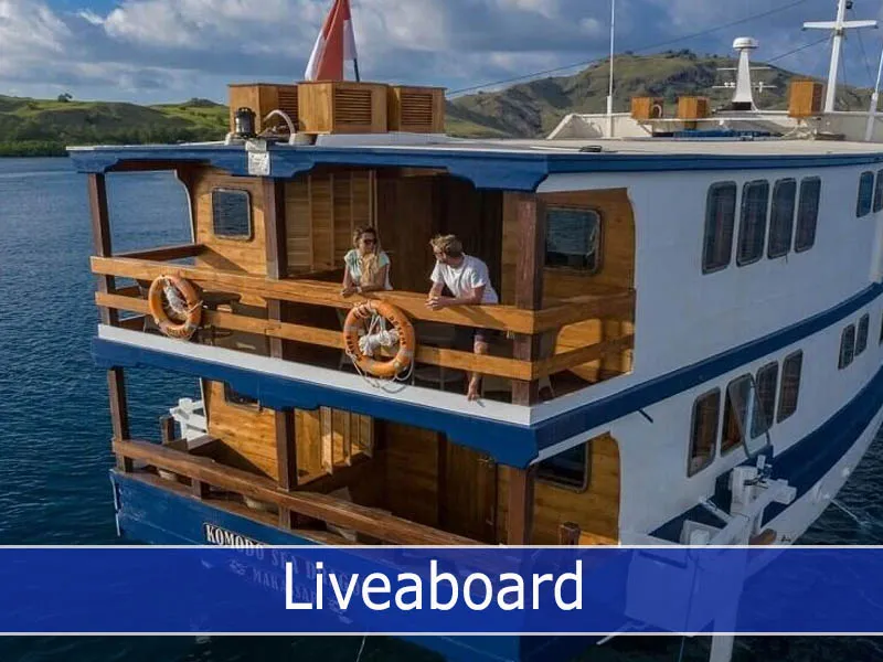 Liveaboard Liveaboard