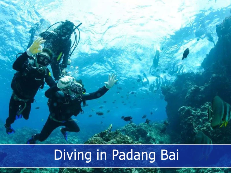 Divers self portrait on Padang Bai Dive Site