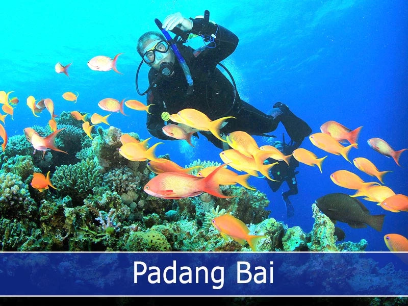 Padang Bai dive spot
