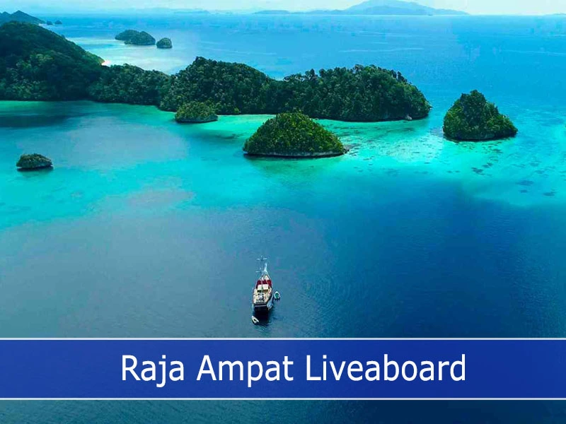Banda Sea Liveaboard aerial view