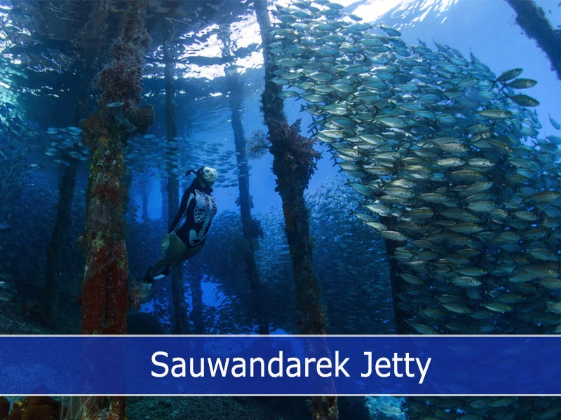 Sauwandarek Jetty