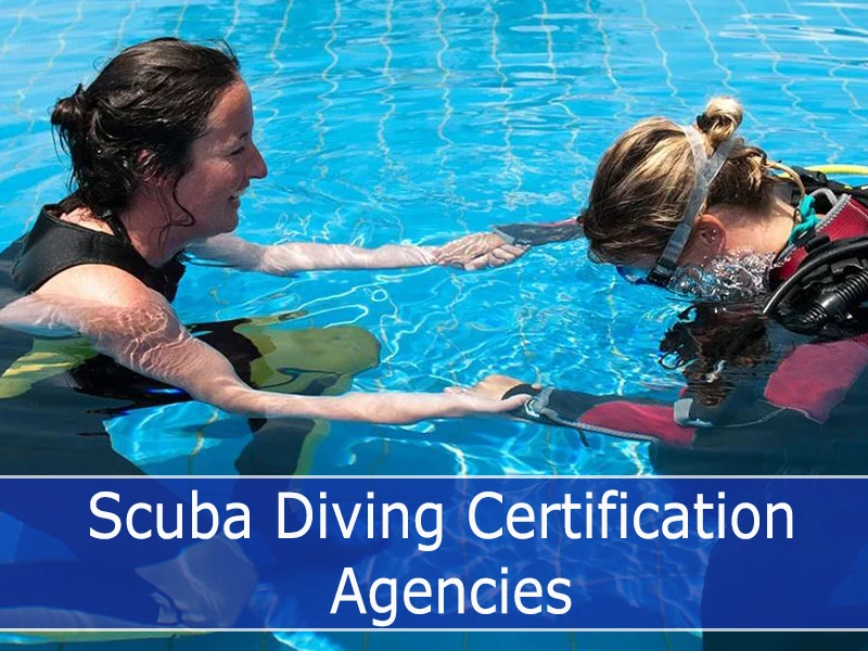 scuba diving certification