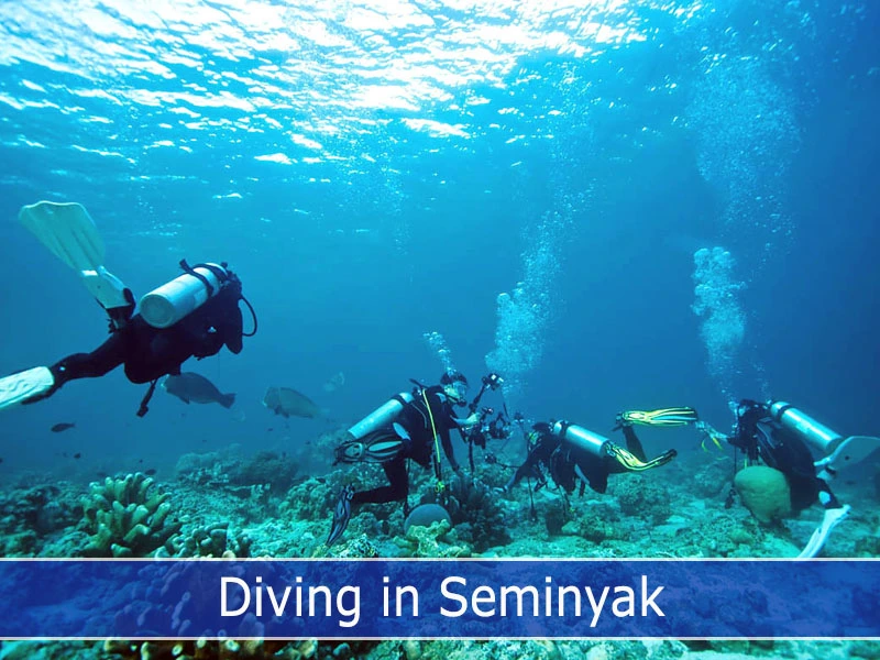 Divers on Seminyak Dive Sites