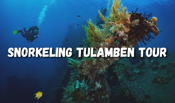 Snorkeling Tour on Tulamben