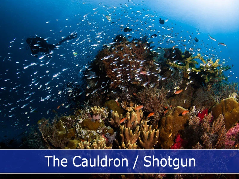 The Cauldron-Shotgun in Komodo National Park