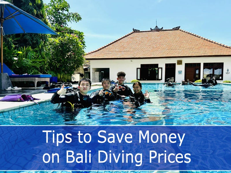 The best tips to Save Money on Bali Diving Prices
