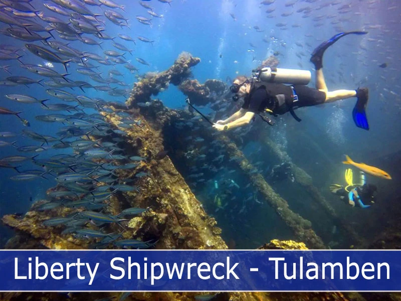 Explore the underwater wonders of Tulamben