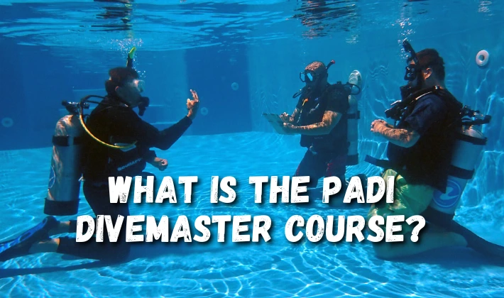 A PADI instructor and two divers practice in the pool