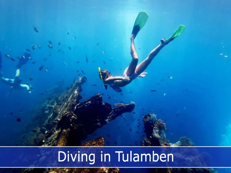 Free Divers exploring USAT Liberty Shipwreck Tulamben dive site